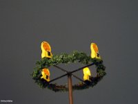 Weihnachtsdeko Kirche Ortskern2020