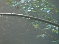 DSC08458
