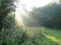 DSC08465